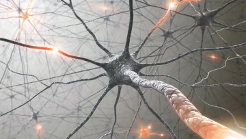 Berlin Brain Summit - Interdisziplinäre Fortbildung